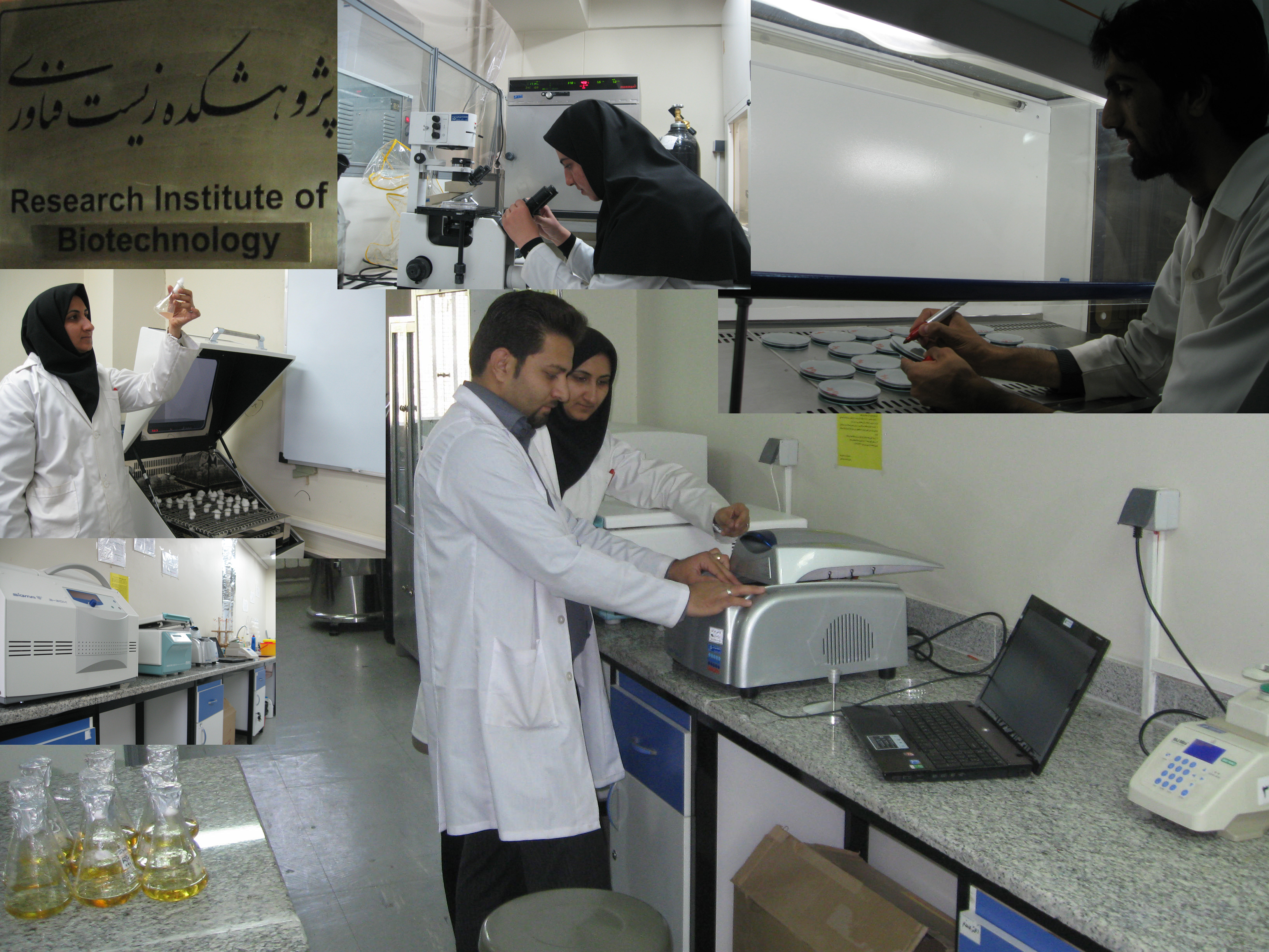 جایگاه 21 ایران در تولیدات علمی 2014 زیست فناوری